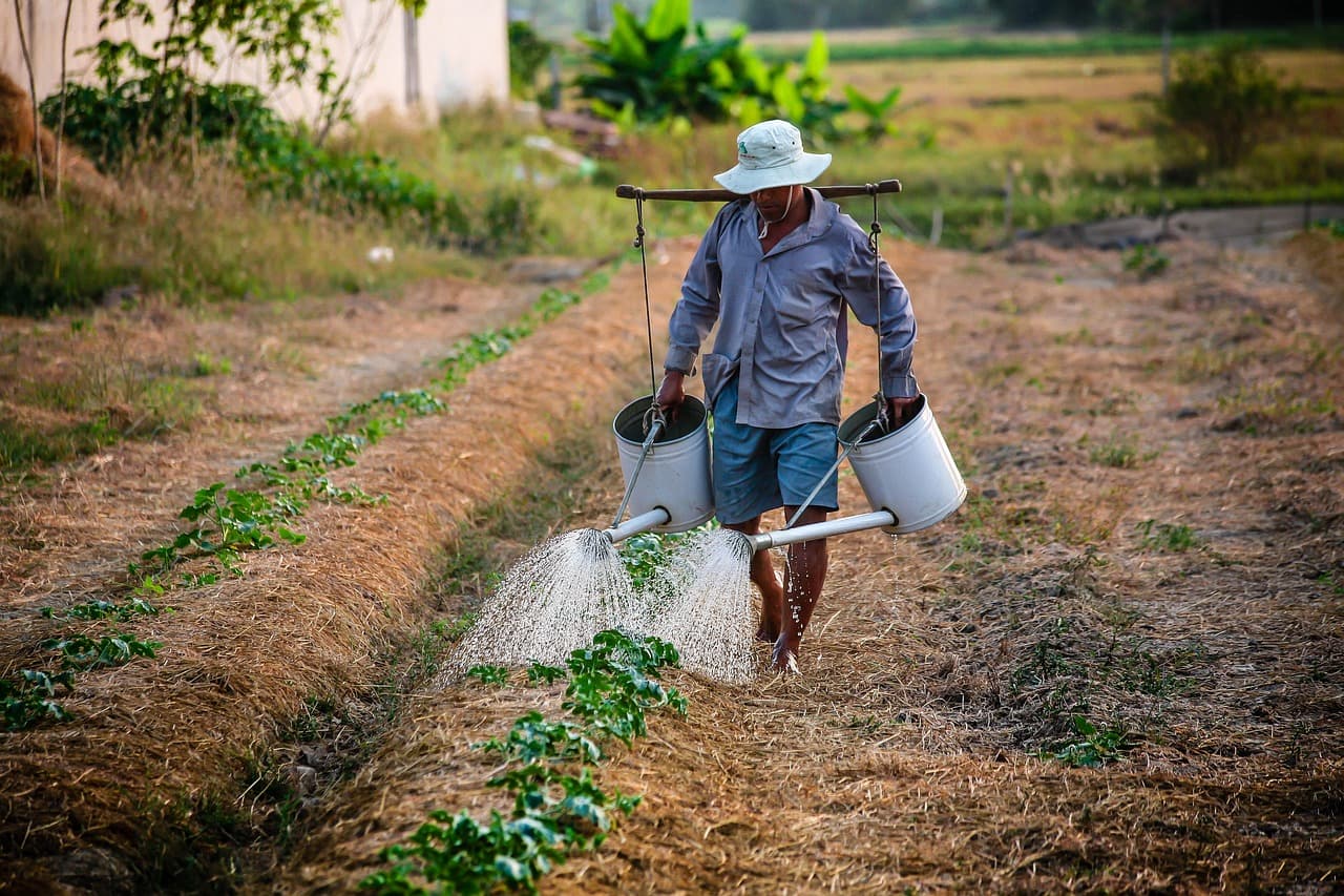 Modern farming practices