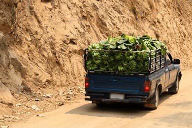 Market Access